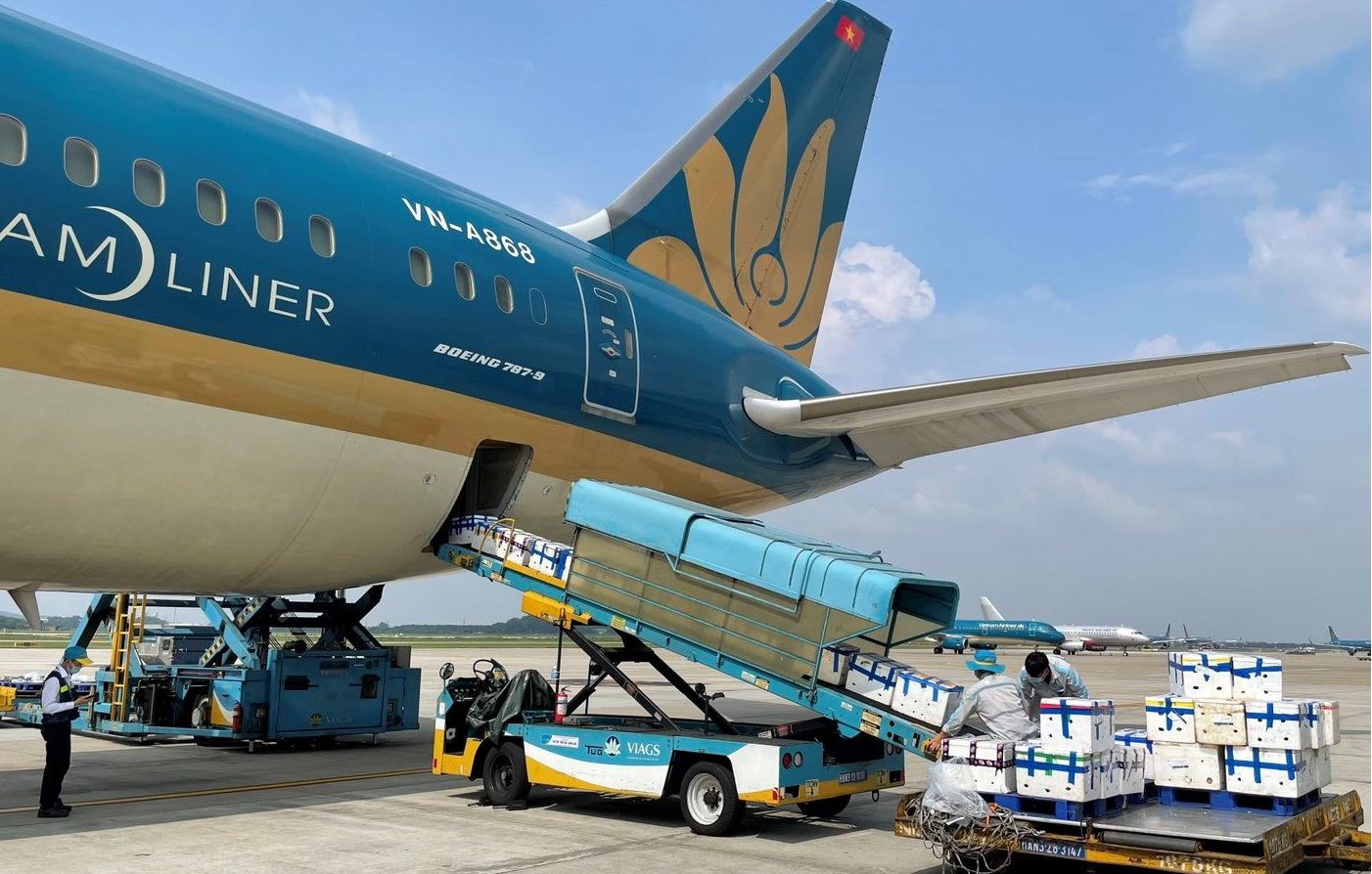 Vietnam Airlines dùng máy bay thân rộng để chở 100 tấn vải thiều vào TP.HCM